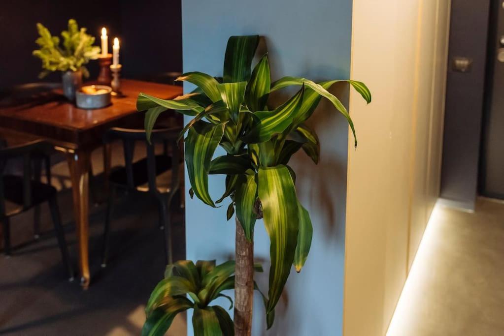 Luxury Downtown Apartment บูคาเรสต์ ภายนอก รูปภาพ